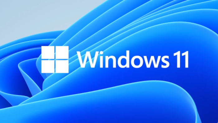 Migration W11